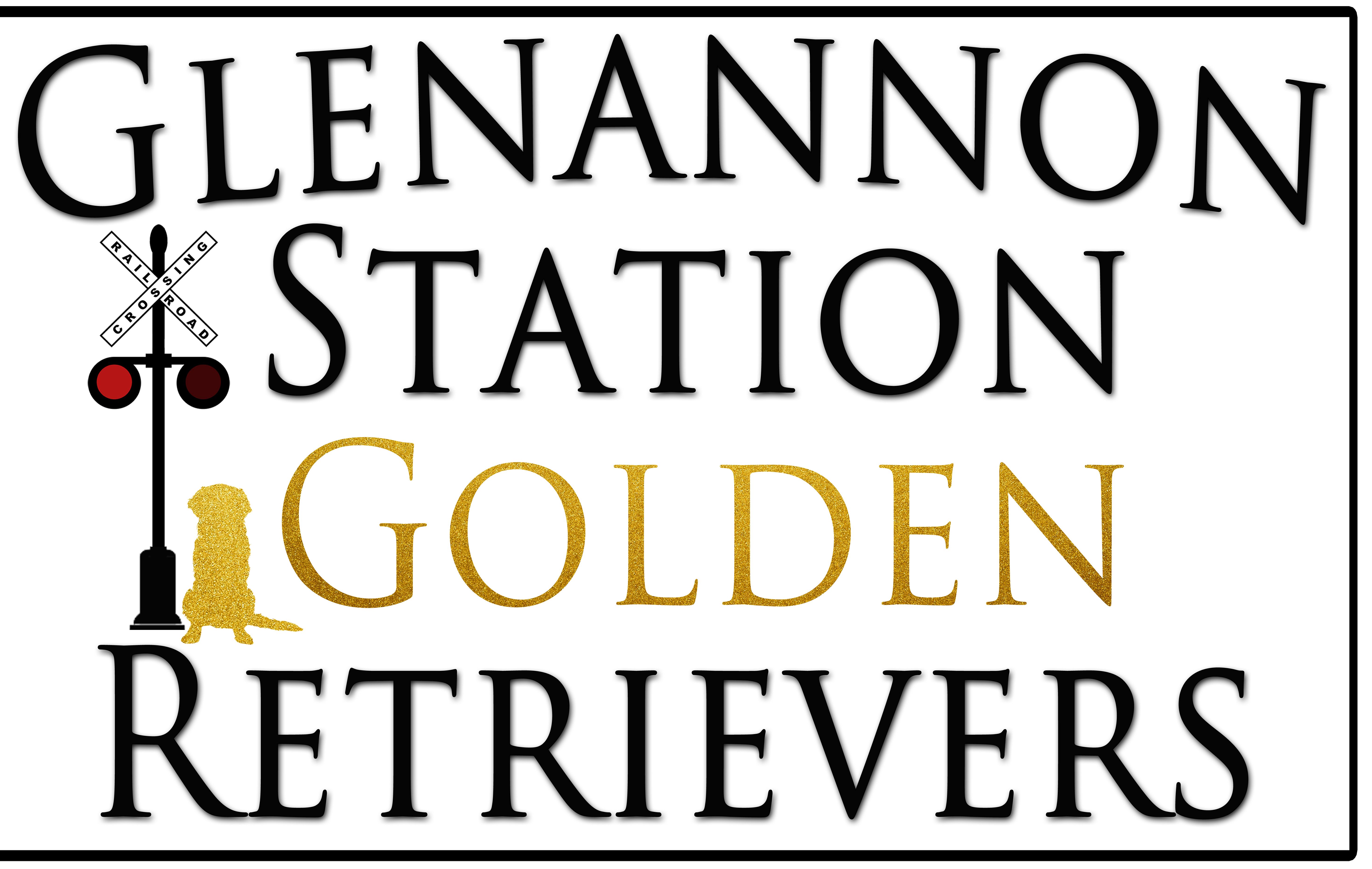 Glenannon Station Golden Retrievers